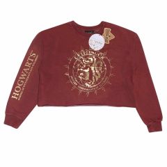 Harry Potter: Gryffindor Constellation Cropped Hoodie