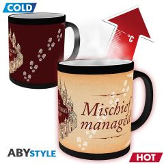 Harry Potter: I Solemnly Swear Heat Change Mug