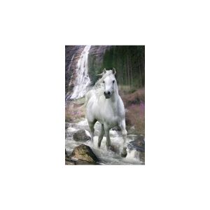 Bob Langrish: Waterfall Maxi Poster (91.5x61cm)