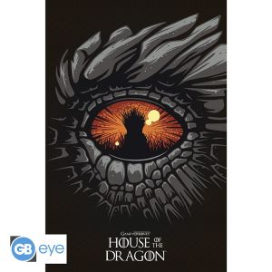 House Of The Dragon: Dragon Poster (91.5x61cm)