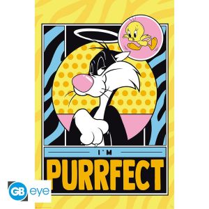 Looney Tunes: Tweety & Sylvester Poster (91.5x61cm)