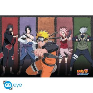 Naruto Shippuden: Naruto & allies Poster (91.5x61cm)