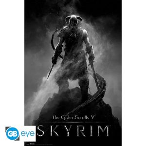 Skyrim: Dragonborn Poster (91.5x61cm)