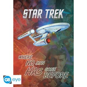 Star Trek: Poster Maxi (91,5x 61cmcm)Mix and Match Poster (91.5x61cm)