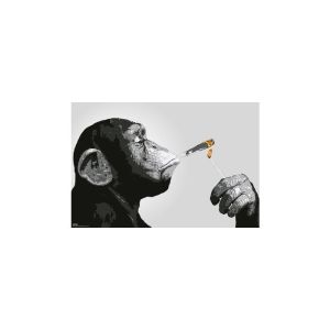 Steez: Smoking Maxi Poster (91.5x61cm)