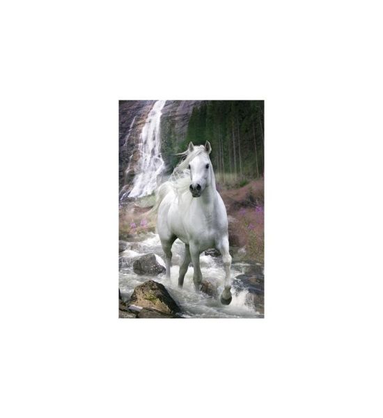 Bob Langrish: Waterfall Maxi Poster (91.5x61cm)