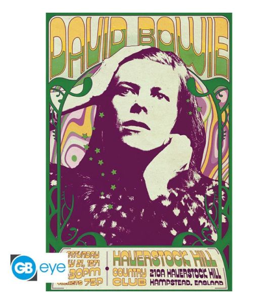 David Bowie: Haverstock Hill Poster Maxi (91.5x61cm)