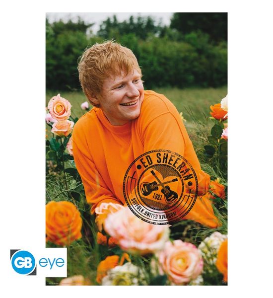 Ed Sheeran: Rose Field Poster (91.5x61cm)