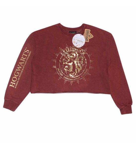 Harry Potter: Gryffindor Constellation Cropped Hoodie