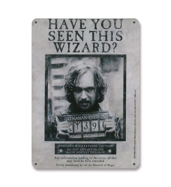 Harry Potter: Have You Seen This Wizard Tin Sign (15x21cm) Preorder