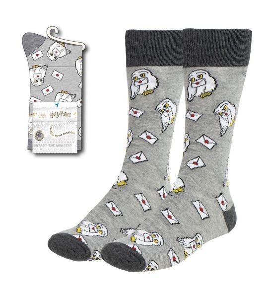 Harry Potter: Hedwig with Letter Socks (38-45)