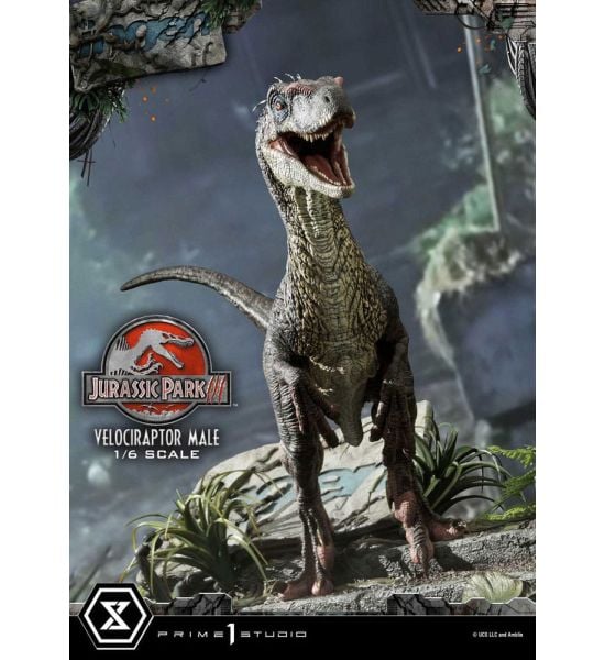 Jurassic Park III: Velociraptor Male 1/6 Legacy Museum Collection Statue (40cm) Preorder