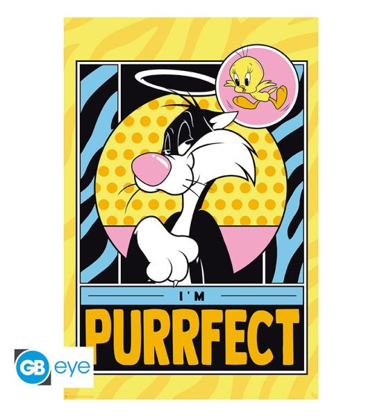 Looney Tunes: Tweety & Sylvester Poster (91.5x61cm)