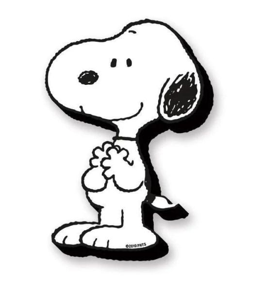 Peanuts: Snoopy Funky Chunky Magnets