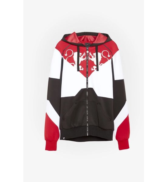 Destiny: Titan Custom Zip Hoodie