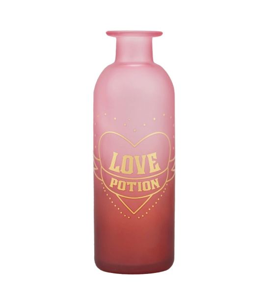 Harry Potter: Love Potion 16cm Glass Vase