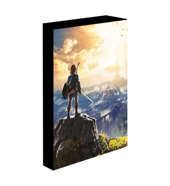 The Legend of Zelda: Into The Wilds Light Up Canvas Preorder