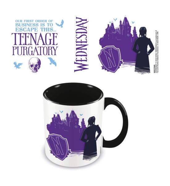 Wednesday: Teenage Purgatory Mug Preorder