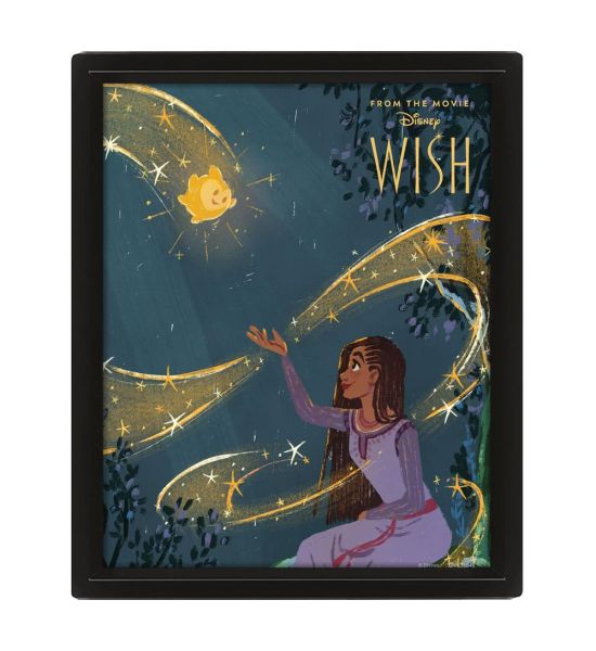 Wish: Wish Come True 3D Lenticular Poster (26x20cm) Preorder